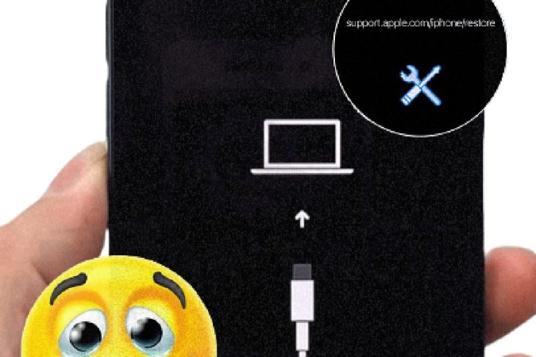 Comment débloquer un iPhone bloqué sur support.apple.com / iPhone Restore