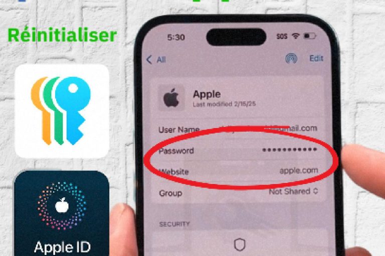 Retrouver ou Réinitialiser le Mot de Passe Apple ID