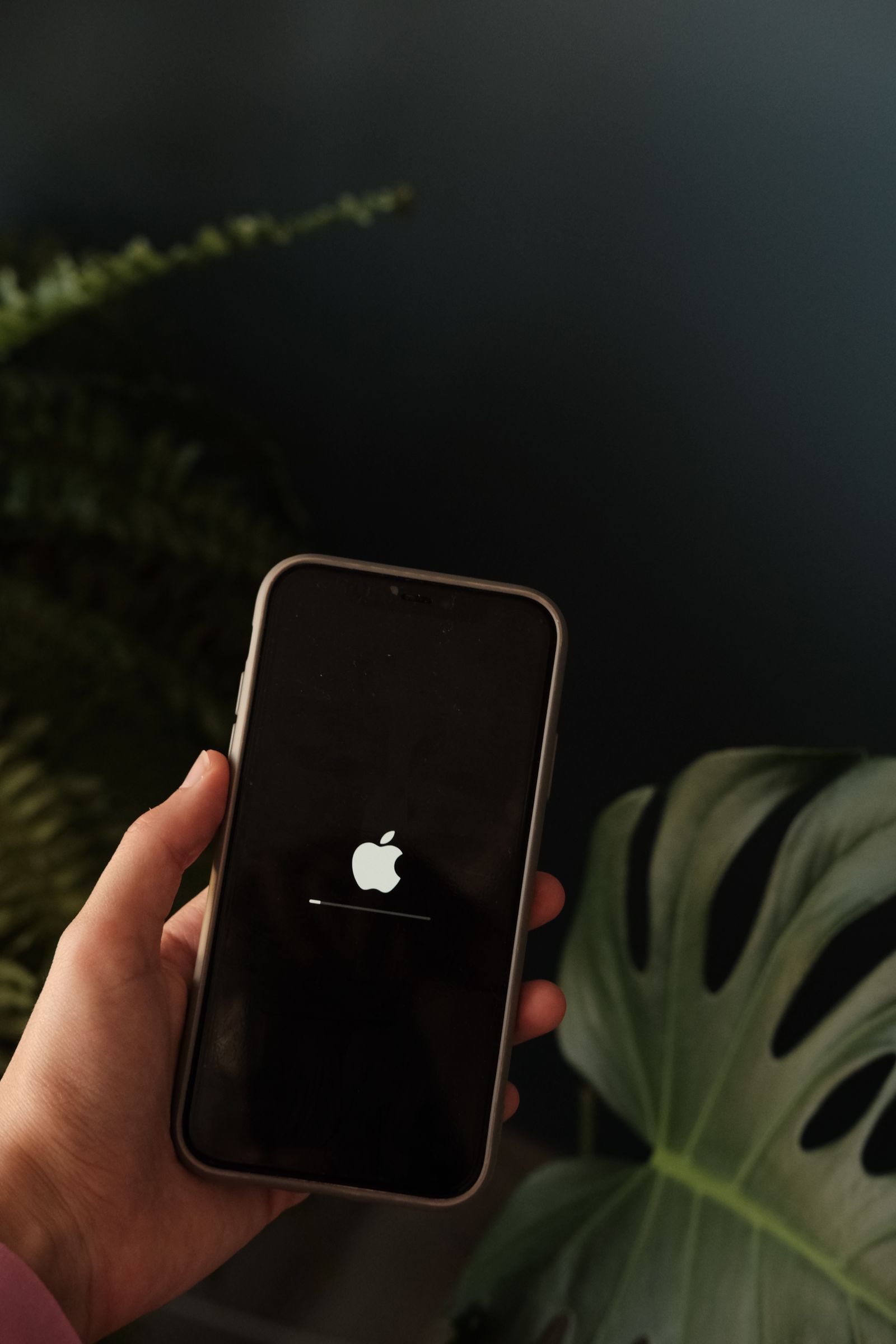 Personne tenant un smartphone avec logo visible
